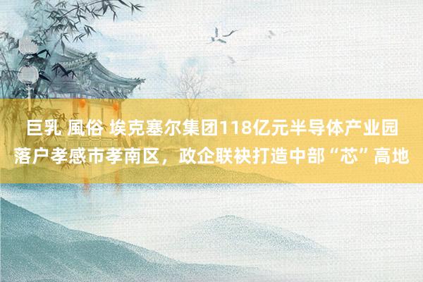 巨乳 風俗 埃克塞尔集团118亿元半导体产业园落户孝感市孝南区，政企联袂打造中部“芯”高地